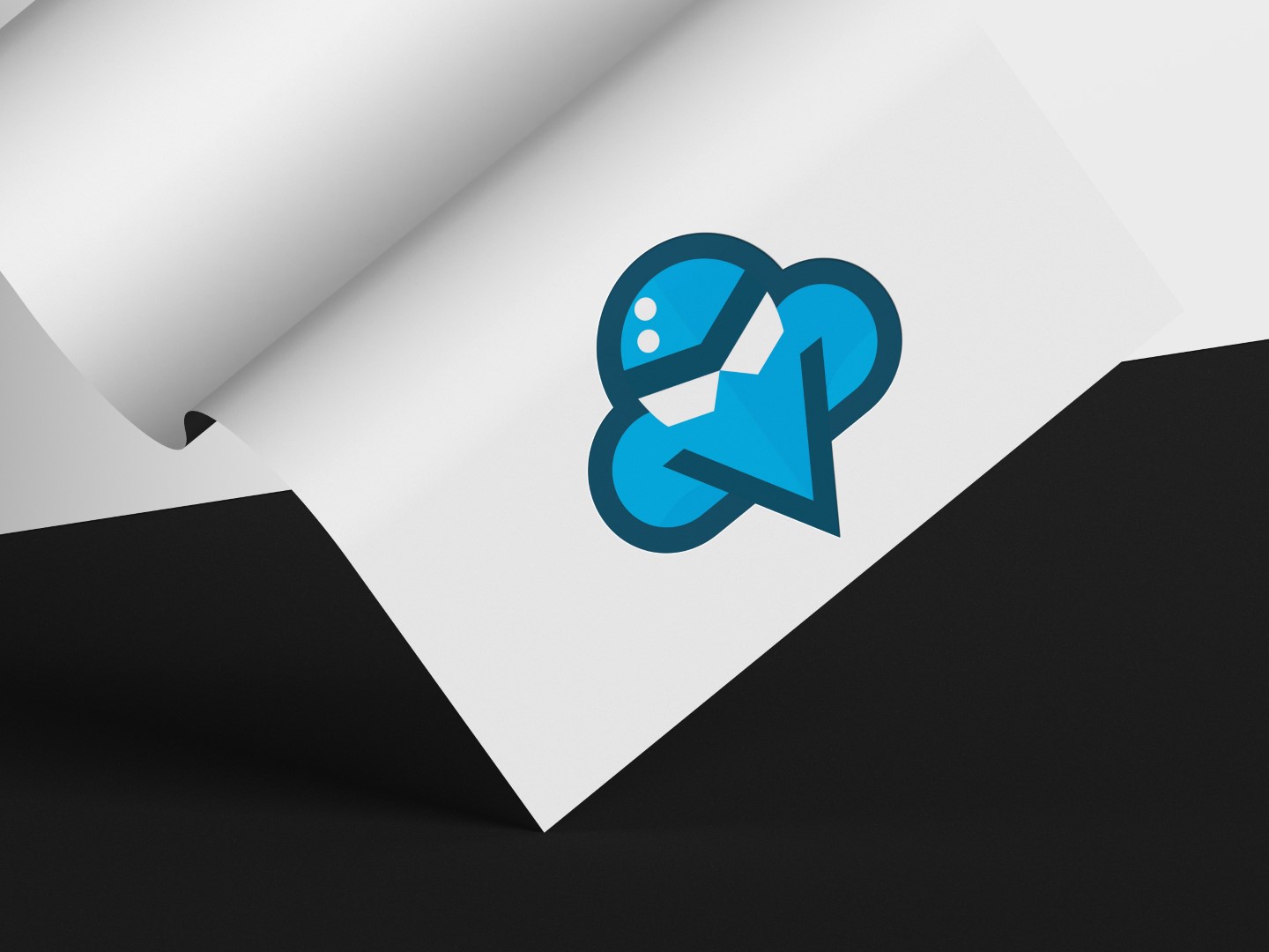 Project Thumbnail Image